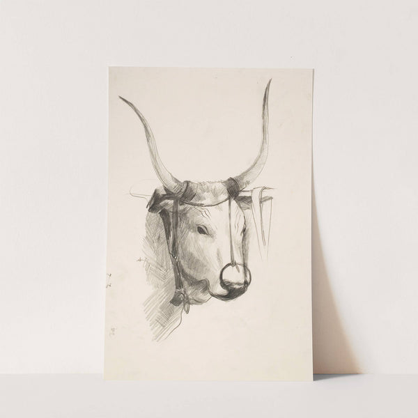 Bull's Head by Henry Ericsson