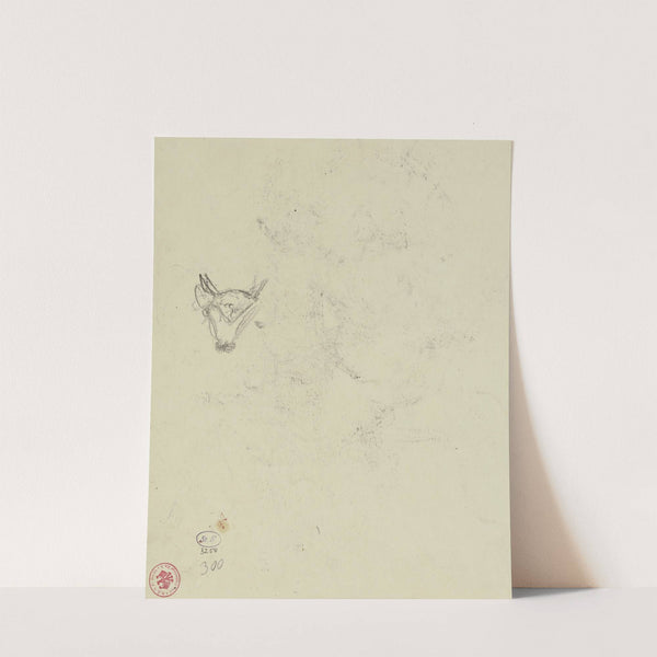 Bull’s head (ca. 1919) by Lovis Corinth