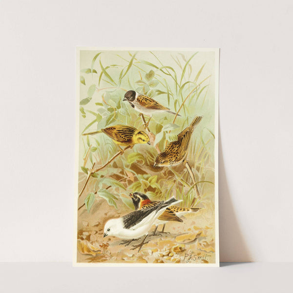 Buntings (1893-1896) by Pierre Jacques Smit