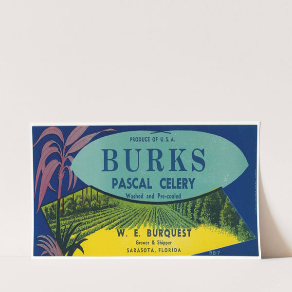 Burks Pascal Celery Label (1930-1950)