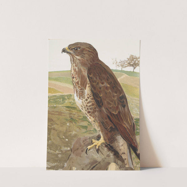 Buse by Léo-Paul Robert