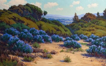 Bush Lupine, Near Del Monte