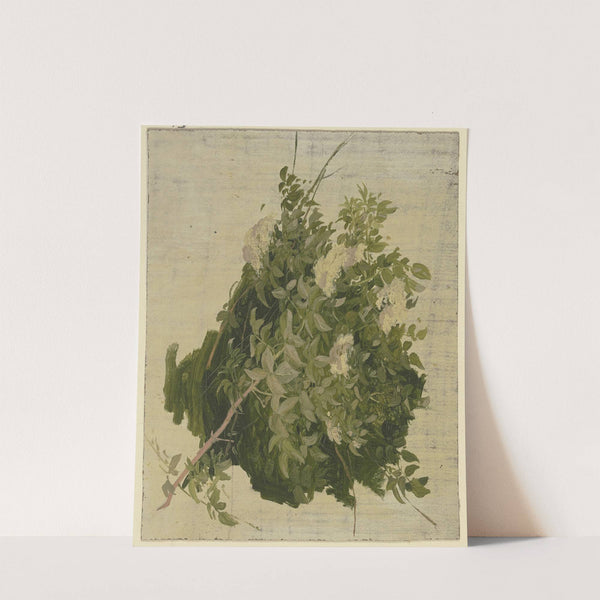 Bush with white blossoms by Philipp Rumpf