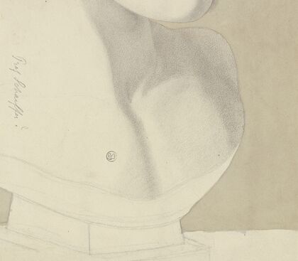 Bust (fragment)