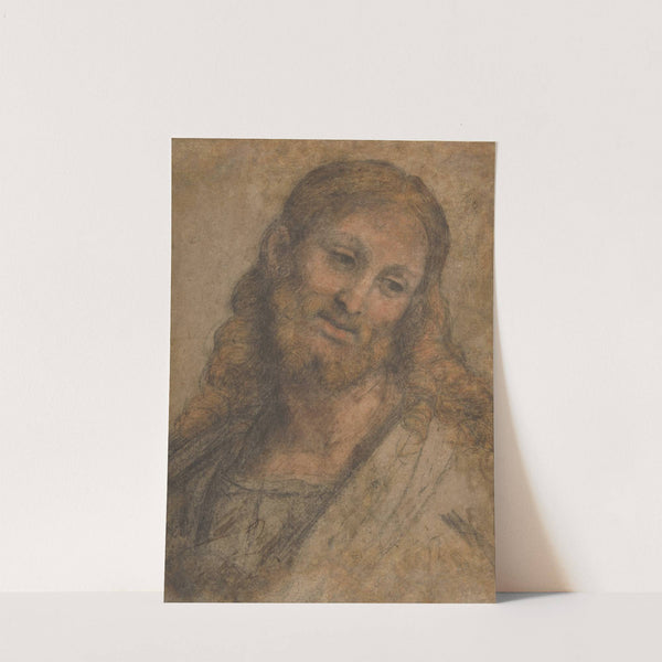 Bust of a Bearded Figure by Andrea Solario