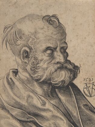 Bust of a Bearded Old Man