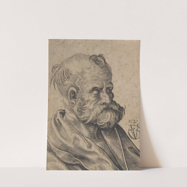 Bust of a Bearded Old Man by Urs Graf