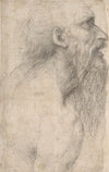 Bust of a Man with Long Beard