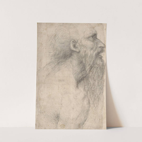 Bust of a Man with Long Beard by Sodoma