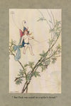 ‘But Puck was seated on a spider’s thread.’