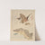 Butterflies and moths, from the series A Flock of Butterflies (Gunchō Gafu) by Kubo Shunman