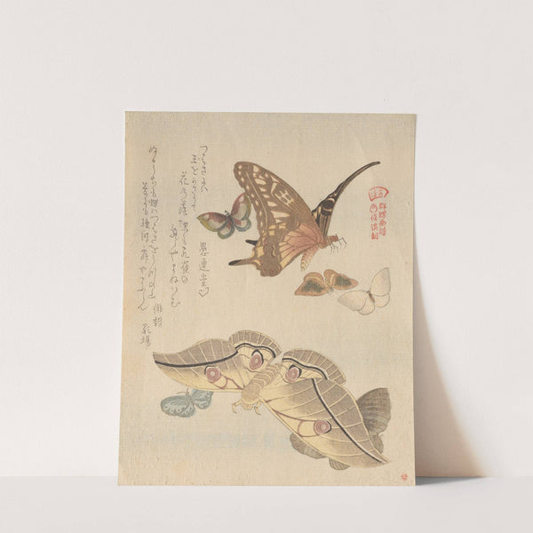 Butterflies and moths, from the series A Flock of Butterflies (Gunchō Gafu) by Kubo Shunman