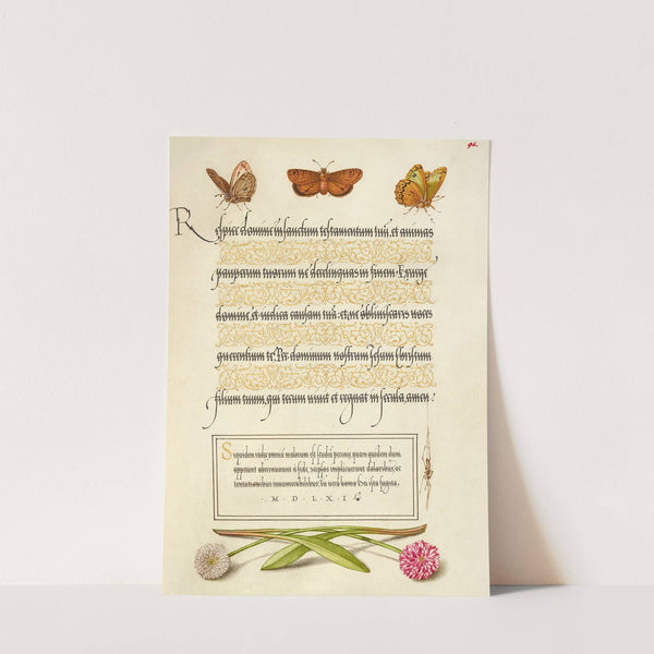 Butterflies, Moth, Spider, and English Daisies (1561–1596) by Joris Hoefnagel