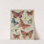 Butterflies of America Pl.3 (1900) by Chase & Sanborn
