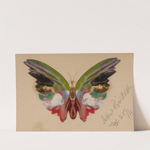 Butterfly (1891) by Albert Bierstadt