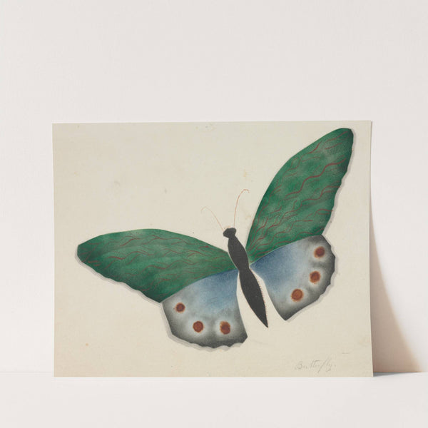 Butterfly (1800s) by Mary Altha Nims