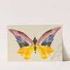 Butterfly (1890) by Albert Bierstadt