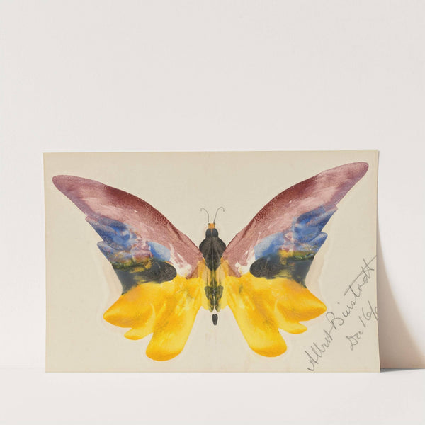 Butterfly (1890) by Albert Bierstadt