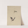 Butterfly and moth by Katsushika Hokusai