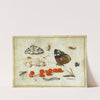 Butterfly, Caterpillar, Moth, Insects, and Currants by Jan van Kessel the Younger