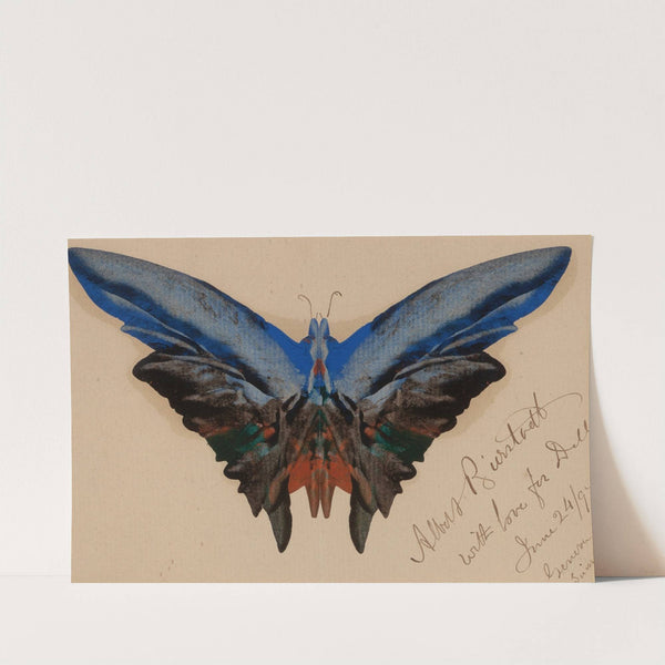 Butterfly, For Dell (1897) by Albert Bierstadt