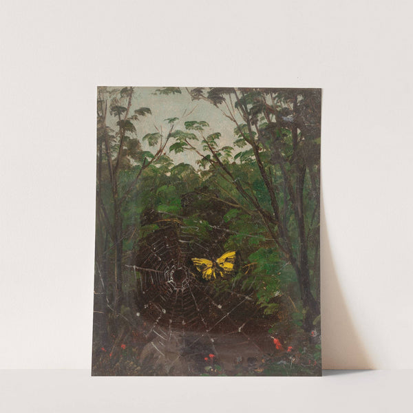 Butterfly in a Spiderweb by Lemuel Maynard Wiles