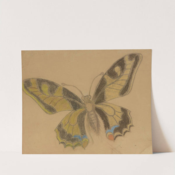 Butterfly (Old World Swallowtail) (1897-1898) by Stanisław Wyspiański