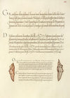 Butterfly Pupae (1561–1596)
