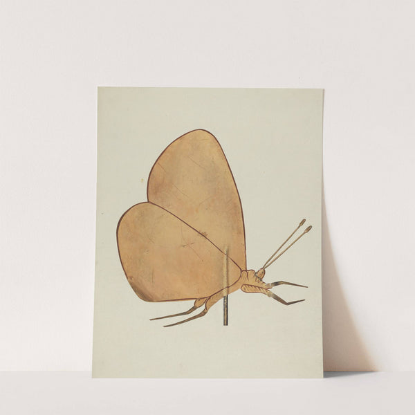 Butterfly Weather Vane by Hazel Hyde