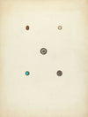 Buttons
