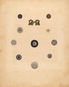 Buttons