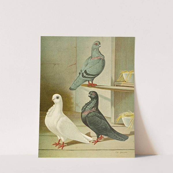 C. bubo nominata II by Gustav Prütz