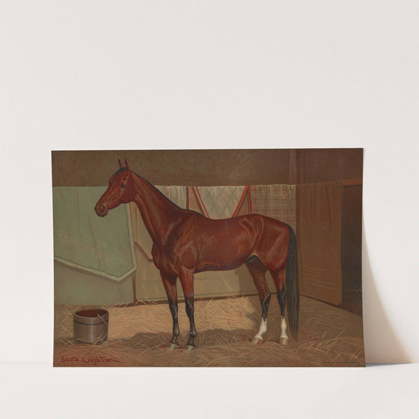 C. Lingstone (1882) by Scott Leighton