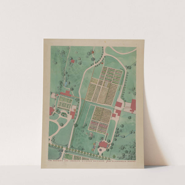 C. O'Connor and J.M. Hopkins Estate by Gilbert Sackerman