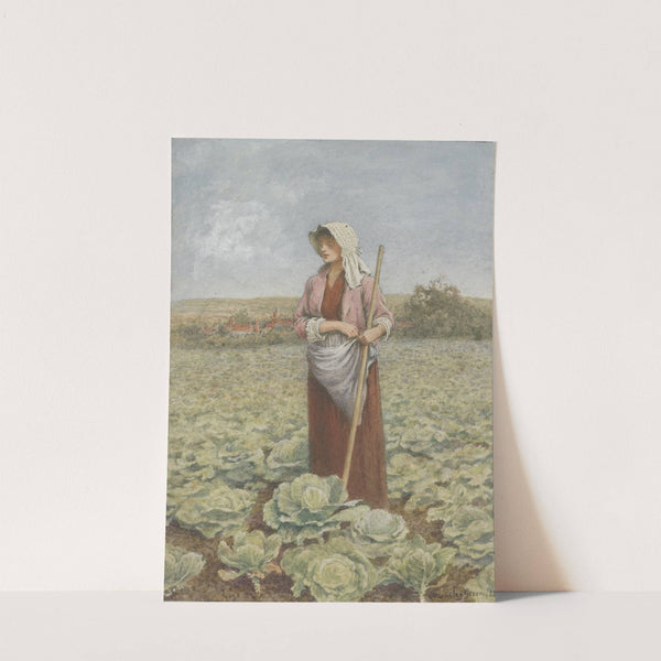 Cabbage field by Henry Green