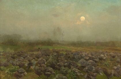 Cabbage Field by Moonlight