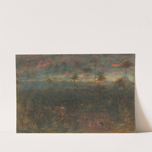 Cabbage palms, Demerara, Guyana by Albert Goodwin