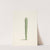 Cactus by Laurens Vincentsz. van der Vinne