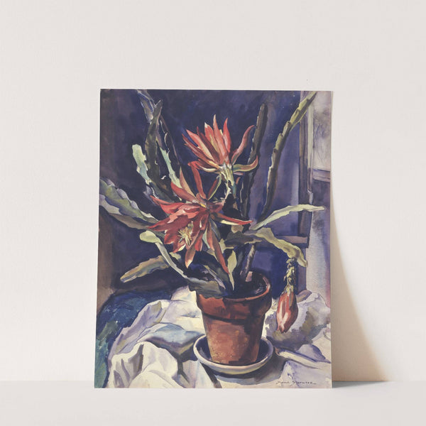 Cactus by Maud Sherwood