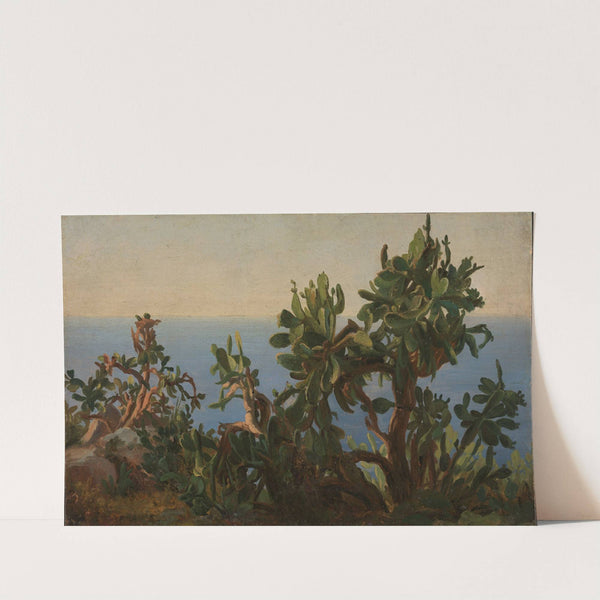 Cactus (1833-1835) by Thomas Fearnley