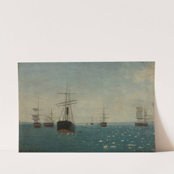 Cadix red by Amaldus Nielsen