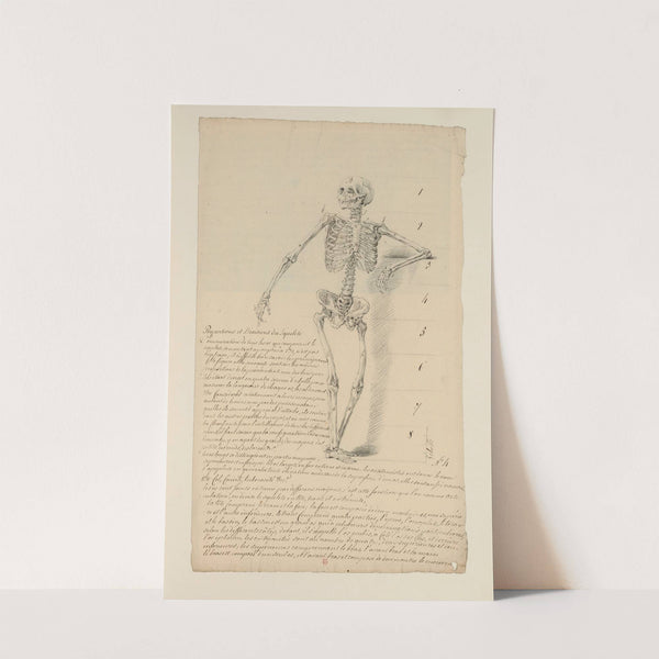Cahiers d’Anatomie Pl.03 (18th Century) by Charles Monnet
