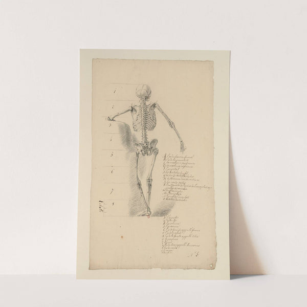 Cahiers d’Anatomie Pl.04 (18th Century) by Charles Monnet