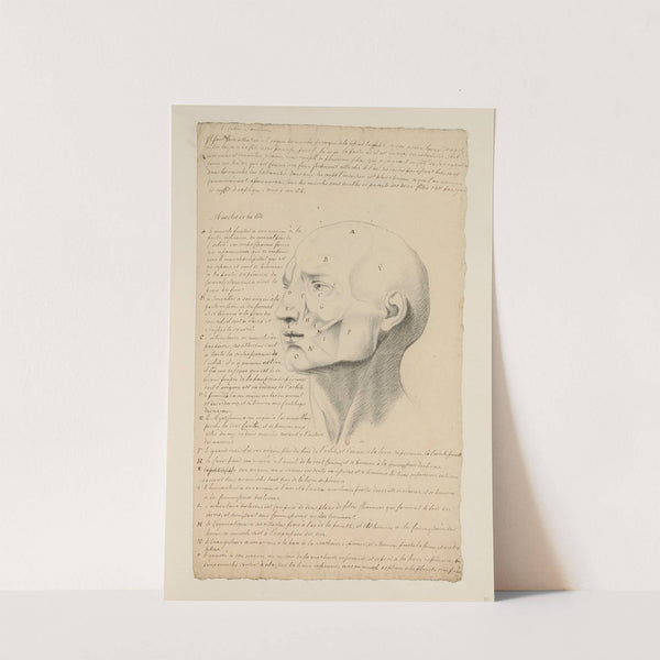 Cahiers d’Anatomie Pl.06 (18th Century) by Charles Monnet