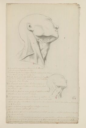 Cahiers d’Anatomie Pl.07 (18th Century) — size preview