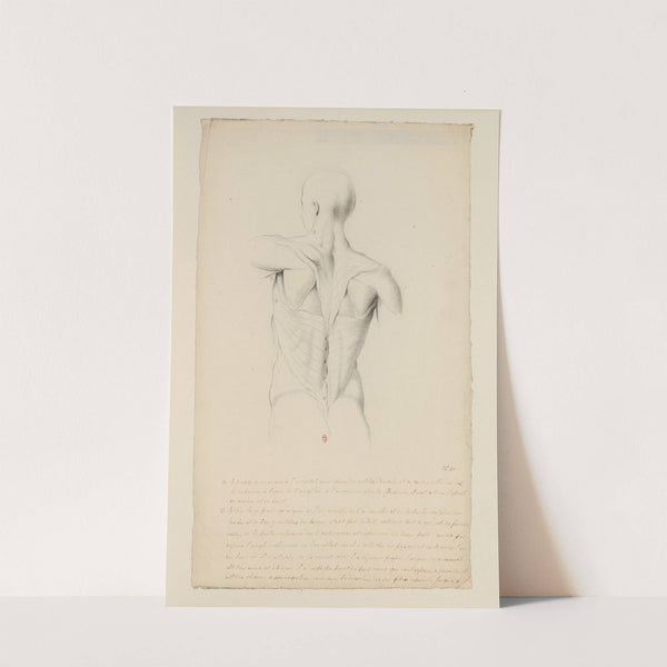 Cahiers d’Anatomie Pl.09 (18th Century) by Charles Monnet