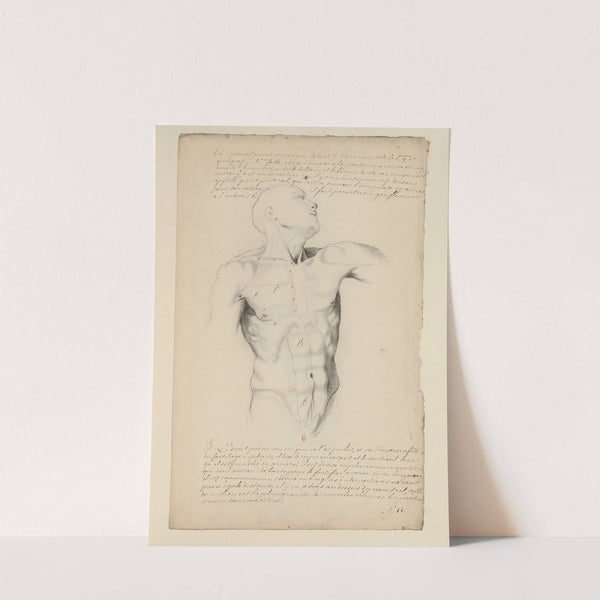 Cahiers d’Anatomie Pl.11 (18th Century) by Charles Monnet