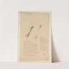 Cahiers d’Anatomie Pl.18 (18th Century) by Charles Monnet