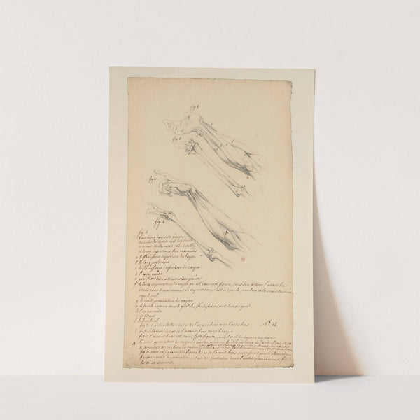 Cahiers d’Anatomie Pl.21 (18th Century) by Charles Monnet