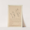 Cahiers d’Anatomie Pl.22 (18th Century) by Charles Monnet
